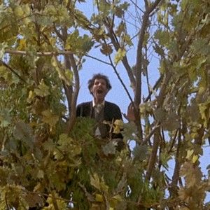 Meet your Posher, Ben